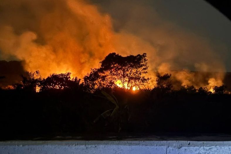 Kebakaran Hutan di Kalimantan